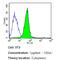 Tubulin antibody, MA5-16308, Invitrogen Antibodies, Flow Cytometry image 