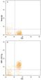 Signal Regulatory Protein Gamma antibody, AF4486, R&D Systems, Flow Cytometry image 