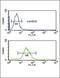 p18 antibody, PA5-24628, Invitrogen Antibodies, Flow Cytometry image 