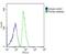 Fibrinogen Like 2 antibody, PA5-71472, Invitrogen Antibodies, Flow Cytometry image 