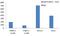 Histone Cluster 1 H2B Family Member B antibody, MA5-14835, Invitrogen Antibodies, Chromatin Immunoprecipitation image 