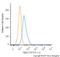 Checkpoint Kinase 2 antibody, NB100-56546, Novus Biologicals, Flow Cytometry image 