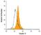 Claudin 17 antibody, MA5-24150, Invitrogen Antibodies, Flow Cytometry image 