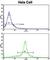Golgi Phosphoprotein 3 antibody, abx033398, Abbexa, Western Blot image 