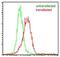 Epstein-Barr Virus Induced 3 antibody, NBP2-03942, Novus Biologicals, Flow Cytometry image 