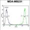 Empty Spiracles Homeobox 1 antibody, PA5-35373, Invitrogen Antibodies, Flow Cytometry image 