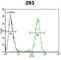 Mannosidase Alpha Class 2A Member 1 antibody, abx026013, Abbexa, Western Blot image 