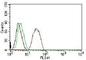 Estrogen Receptor 2 antibody, V7059PE-100T, NSJ Bioreagents, Flow Cytometry image 