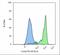 Folate Hydrolase 1 antibody, GTX80150, GeneTex, Flow Cytometry image 