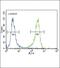Ubiquitin C-Terminal Hydrolase L1 antibody, PA5-11983, Invitrogen Antibodies, Flow Cytometry image 