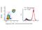 Complement C1q A Chain antibody, NBP1-51139, Novus Biologicals, Flow Cytometry image 