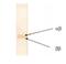 S100 Calcium Binding Protein A1 antibody, MA1-20103, Invitrogen Antibodies, Western Blot image 