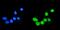 Small Ubiquitin Like Modifier 1 antibody, A00631-1, Boster Biological Technology, Immunofluorescence image 