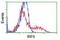 Interferon Regulatory Factor 6 antibody, NBP2-00949, Novus Biologicals, Flow Cytometry image 