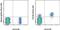 C-X-C Motif Chemokine Receptor 5 antibody, 48-9185-41, Invitrogen Antibodies, Flow Cytometry image 