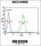 Sestrin-1 antibody, 63-100, ProSci, Immunofluorescence image 