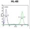 Adenosine Deaminase antibody, LS-C156031, Lifespan Biosciences, Flow Cytometry image 
