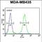 Tubulin polyglutamylase TTLL13 antibody, PA5-48213, Invitrogen Antibodies, Flow Cytometry image 