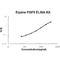 Fibroblast Growth Factor 9 antibody, EK0348-EQ, Boster Biological Technology, Enzyme Linked Immunosorbent Assay image 