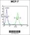 DnaJ Heat Shock Protein Family (Hsp40) Member A1 antibody, 62-070, ProSci, Immunofluorescence image 