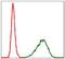 Tubulin Alpha 8 antibody, GTX60532, GeneTex, Flow Cytometry image 