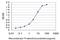 THUMP Domain Containing 1 antibody, H00055623-M01, Novus Biologicals, Enzyme Linked Immunosorbent Assay image 