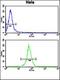 Cell Division Cycle 16 antibody, orb235076, Biorbyt, Flow Cytometry image 