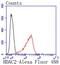 Histone Deacetylase 2 antibody, NBP2-67451, Novus Biologicals, Flow Cytometry image 