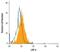 LDL Receptor Related Protein 6 antibody, MAB1505, R&D Systems, Flow Cytometry image 