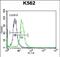 ATP Binding Cassette Subfamily D Member 2 antibody, PA5-71733, Invitrogen Antibodies, Flow Cytometry image 