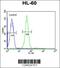 Gastrin Releasing Peptide Receptor antibody, 64-118, ProSci, Flow Cytometry image 