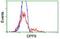 Dipeptidyl Peptidase 9 antibody, orb195420, Biorbyt, Flow Cytometry image 