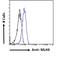 MutL Homolog 3 antibody, LS-C55109, Lifespan Biosciences, Flow Cytometry image 