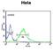 Fibromodulin antibody, abx034291, Abbexa, Flow Cytometry image 