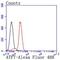 Activating Transcription Factor 7 antibody, NBP2-67857, Novus Biologicals, Flow Cytometry image 