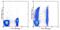 Immunoglobulin superfamily member 2 antibody, 13-1019-80, Invitrogen Antibodies, Flow Cytometry image 