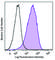 Cadherin 11 antibody, 368708, BioLegend, Flow Cytometry image 