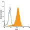 Low Density Lipoprotein Receptor antibody, BAF2255, R&D Systems, Flow Cytometry image 