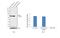 Ribonucleotide Reductase Regulatory Subunit M2 antibody, PA5-27856, Invitrogen Antibodies, Western Blot image 