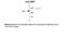 N-Ethylmaleimide Sensitive Factor, Vesicle Fusing ATPase antibody, 50-183, ProSci, Western Blot image 