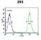 WD Repeat Domain 11 antibody, abx032595, Abbexa, Flow Cytometry image 