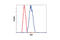 KIT Ligand antibody, 2093S, Cell Signaling Technology, Flow Cytometry image 