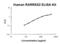 Retinoic Acid Receptor Responder 2 antibody, FEK1329, Boster Biological Technology, Enzyme Linked Immunosorbent Assay image 