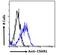 POU Class 2 Homeobox 2 antibody, 43-198, ProSci, Western Blot image 