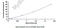 Apolipoprotein B antibody, MBS2022630, MyBioSource, Enzyme Linked Immunosorbent Assay image 