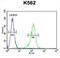 Adenosylhomocysteinase antibody, abx026146, Abbexa, Flow Cytometry image 