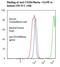 Integrin Subunit Beta 4 antibody, LS-C134695, Lifespan Biosciences, Flow Cytometry image 