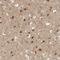 Protein Tyrosine Kinase 2 Beta antibody, HPA026091, Atlas Antibodies, Immunohistochemistry paraffin image 