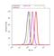 Inhibitor Of Nuclear Factor Kappa B Kinase Subunit Beta antibody, LF-MA0192, Invitrogen Antibodies, Flow Cytometry image 