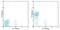 CD28 antibody, 25-0289-42, Invitrogen Antibodies, Flow Cytometry image 